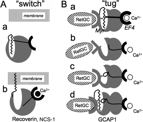 FIGURE 12.