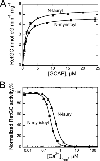 FIGURE 11.