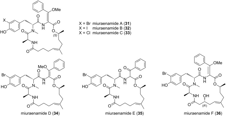 Figure 13