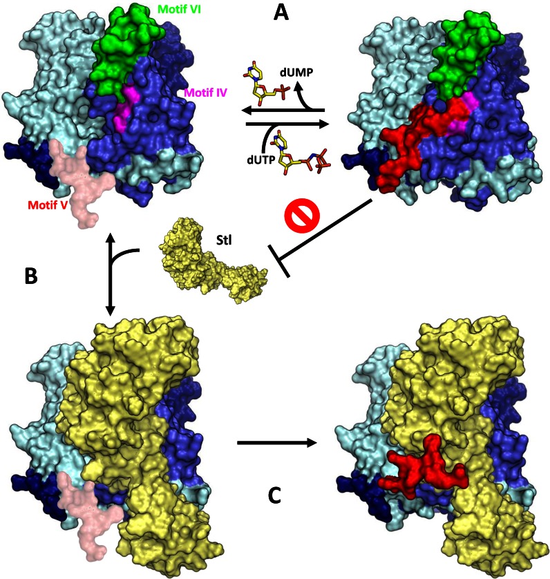 Figure 5.