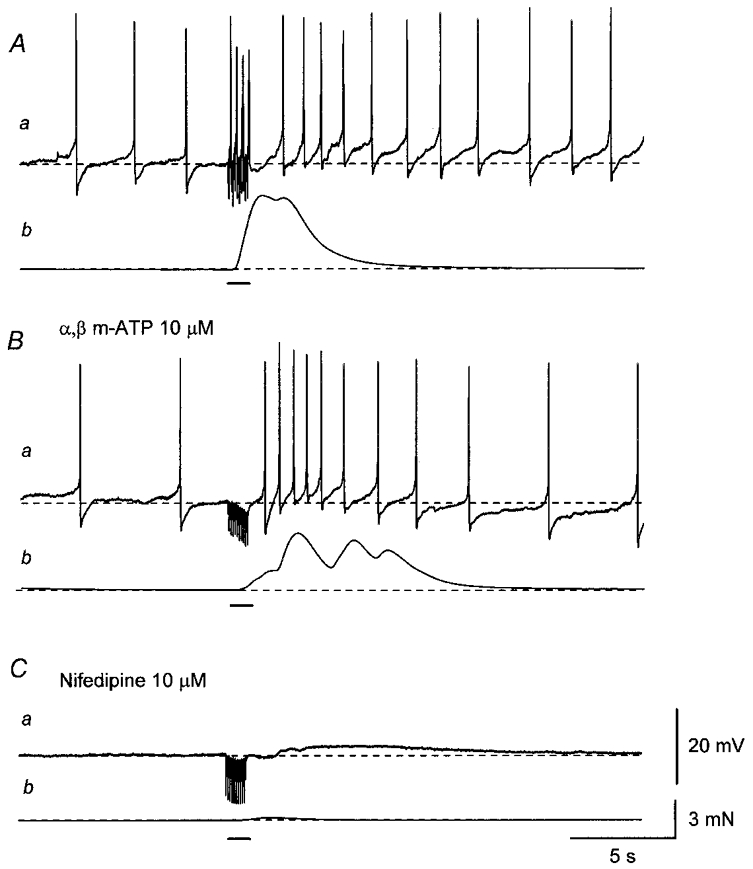 Figure 8