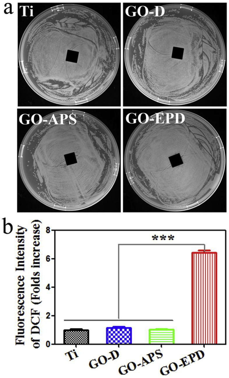 Fig. 6