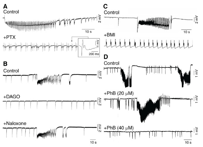 Fig. (4)