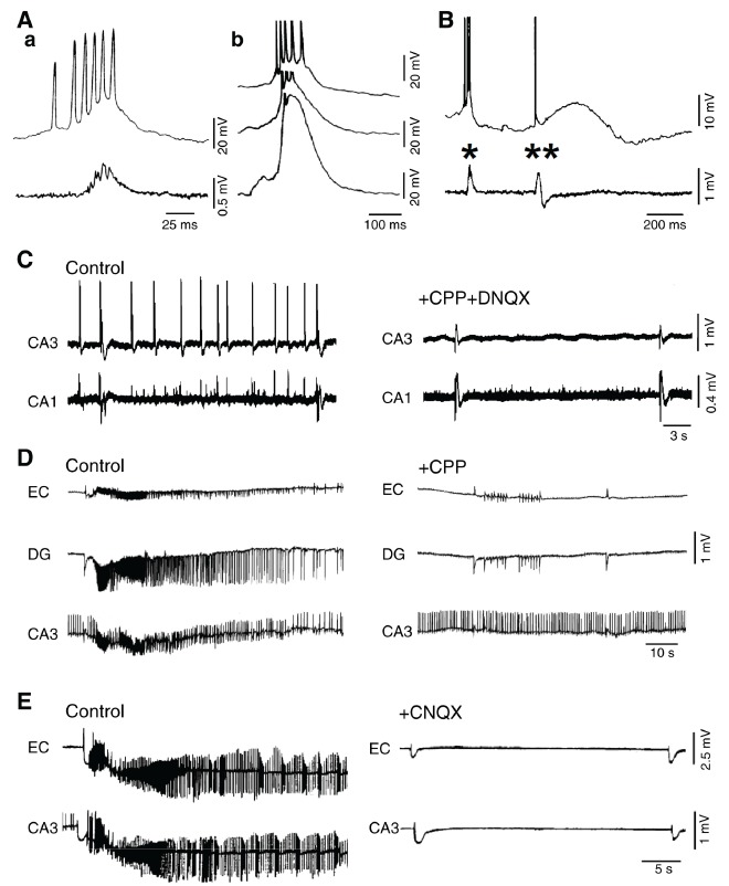 Fig. (3)