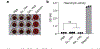 Extended Data Fig. 7 |
