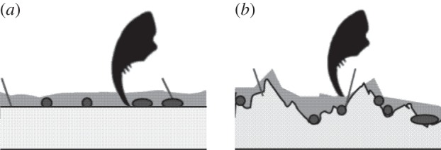 Figure 7.