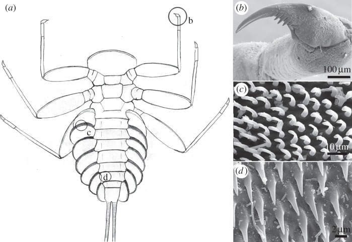 Figure 1.