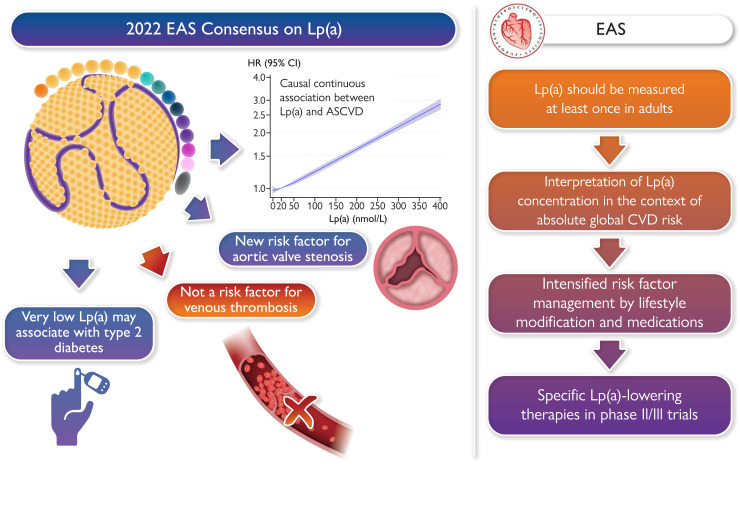 Graphical abstract