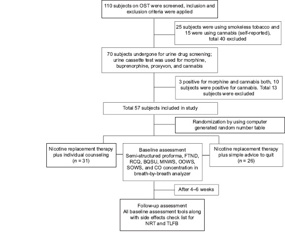 Flow Chart 1