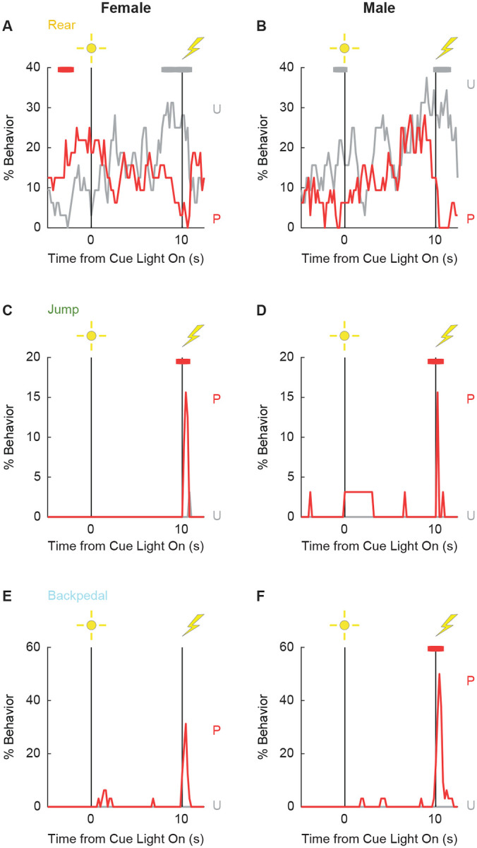 Figure 3 - Supplemental Figure 2 |