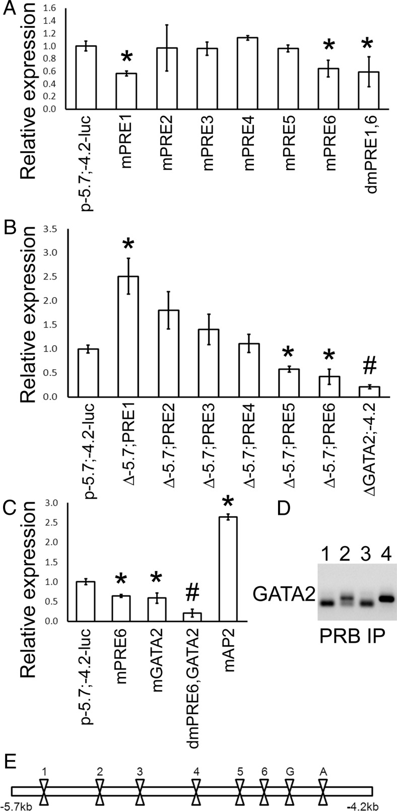 Figure 5.