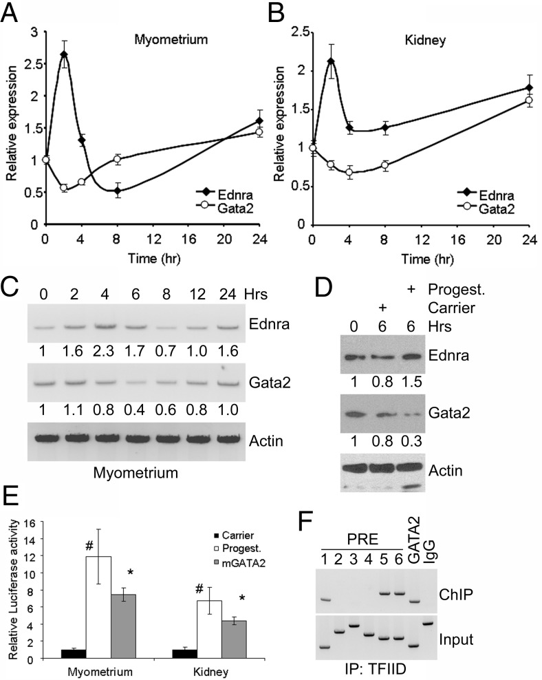 Figure 10.