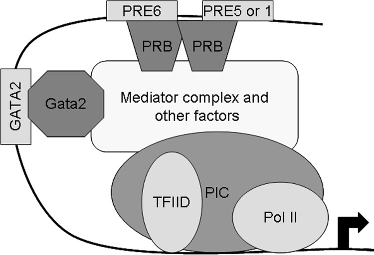 Figure 11.