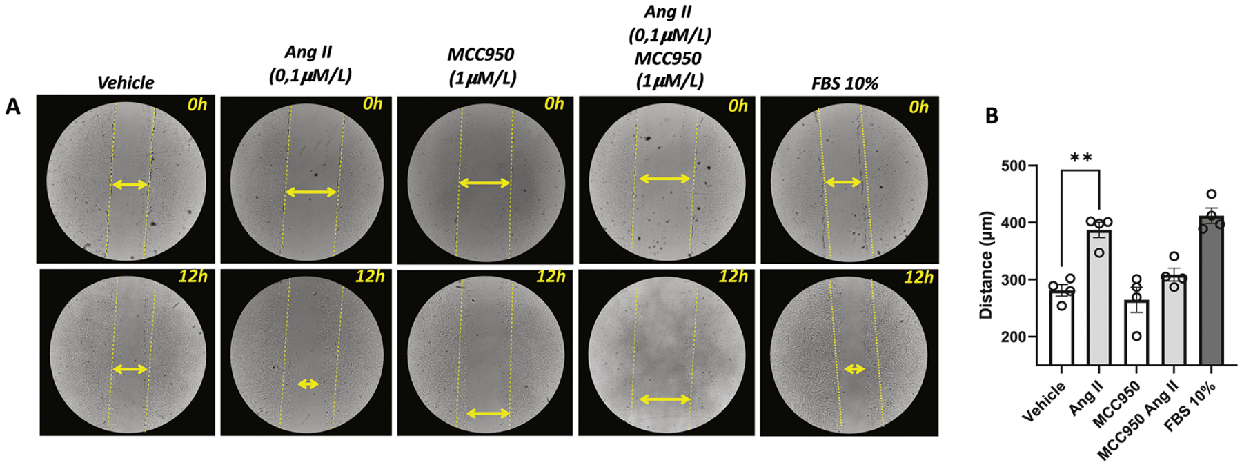 Figure 7.