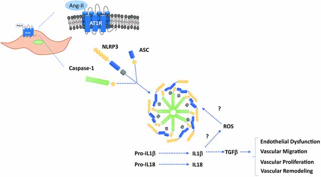 graphic file with name nihms-1711586-f0009.jpg