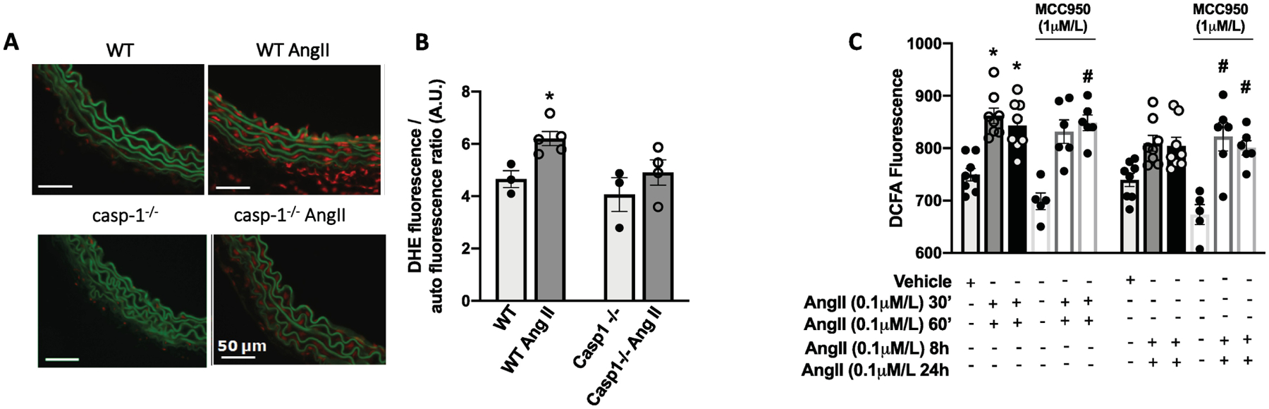 Figure 6.