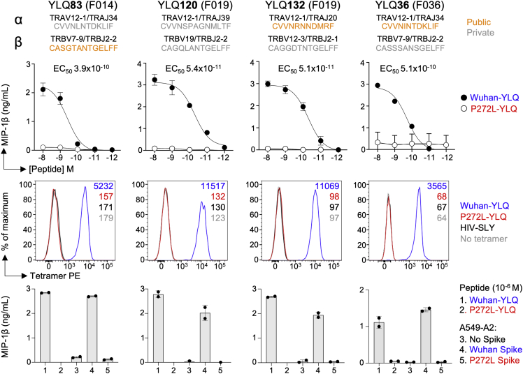 Figure 4