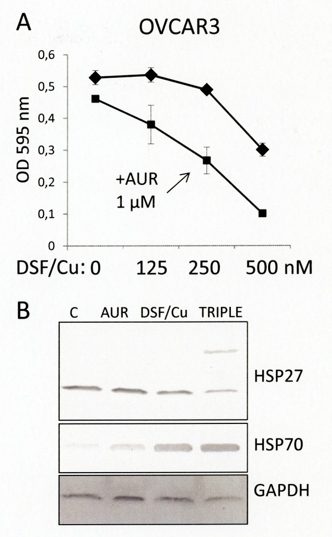 Fig 7