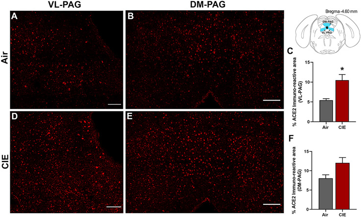 Figure 7: