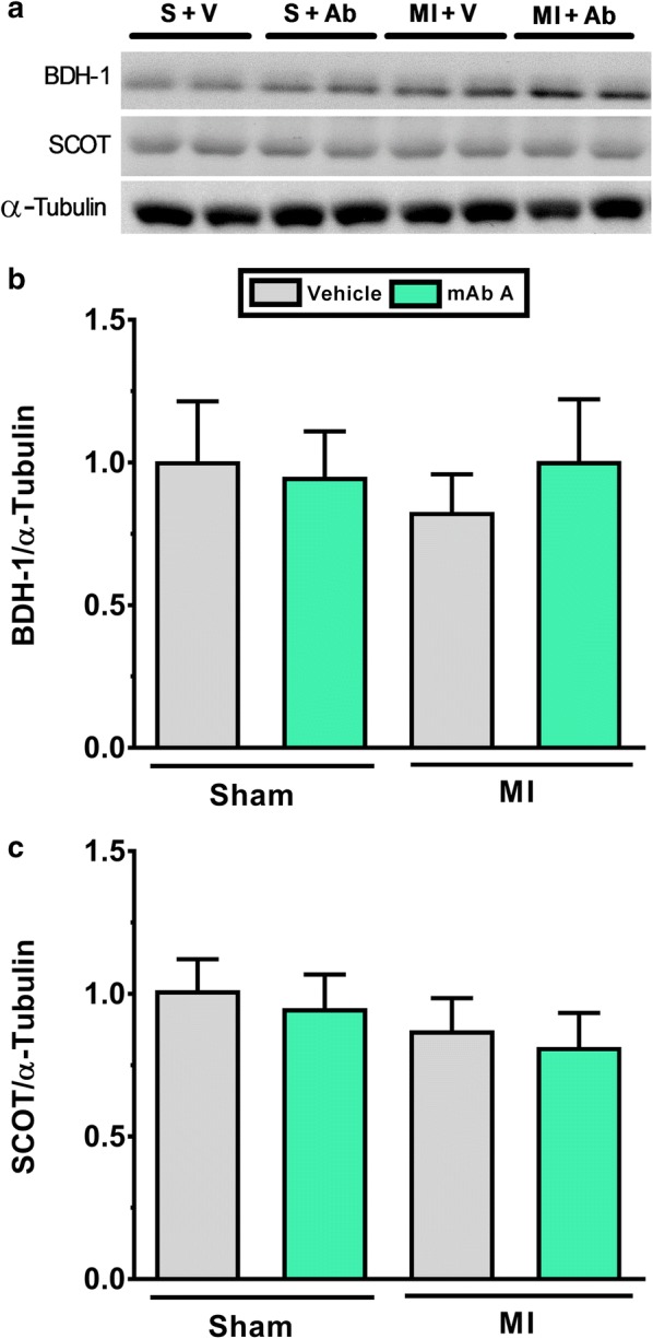 Fig. 9