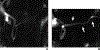 Figure 9.
