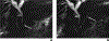 Figure 8.