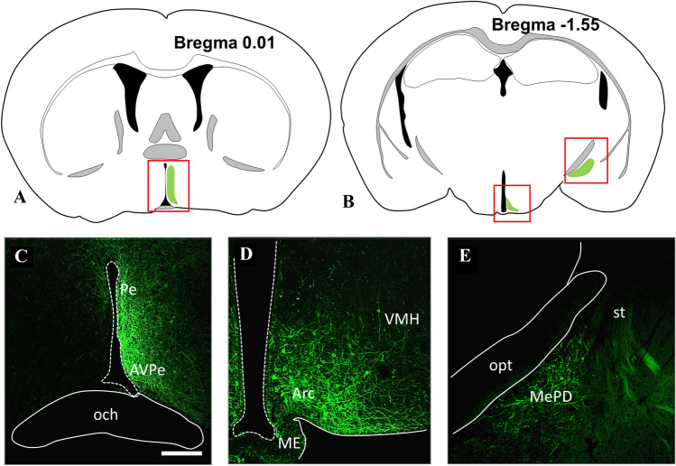 Fig. 4