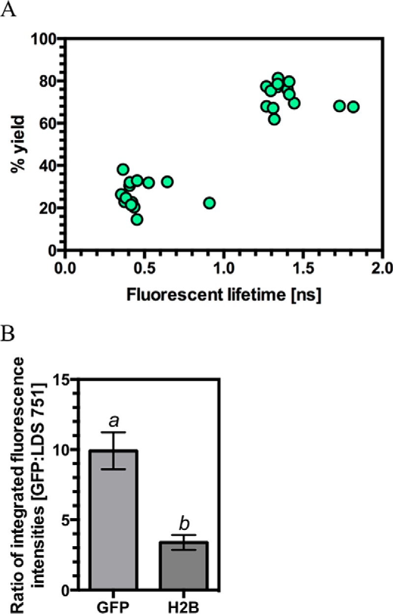 FIGURE 7.