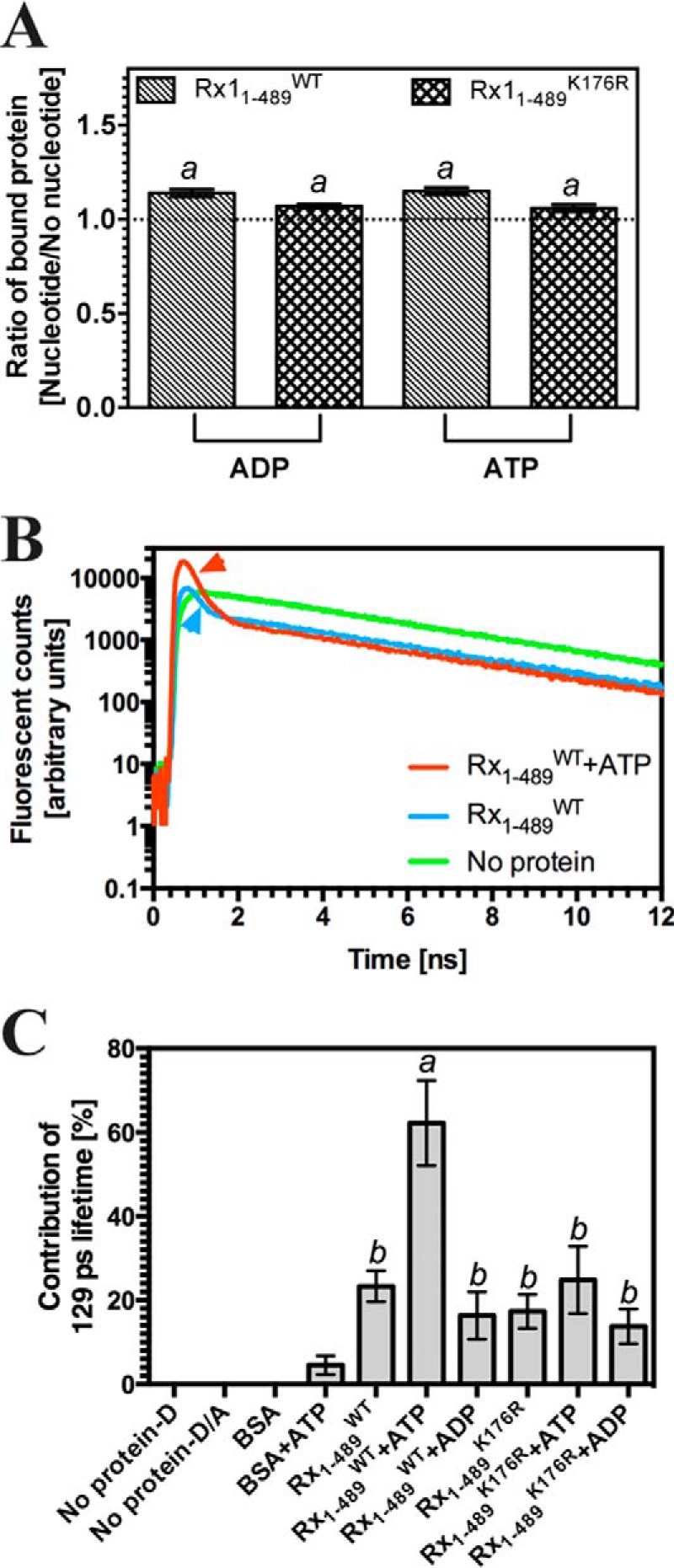 FIGURE 4.