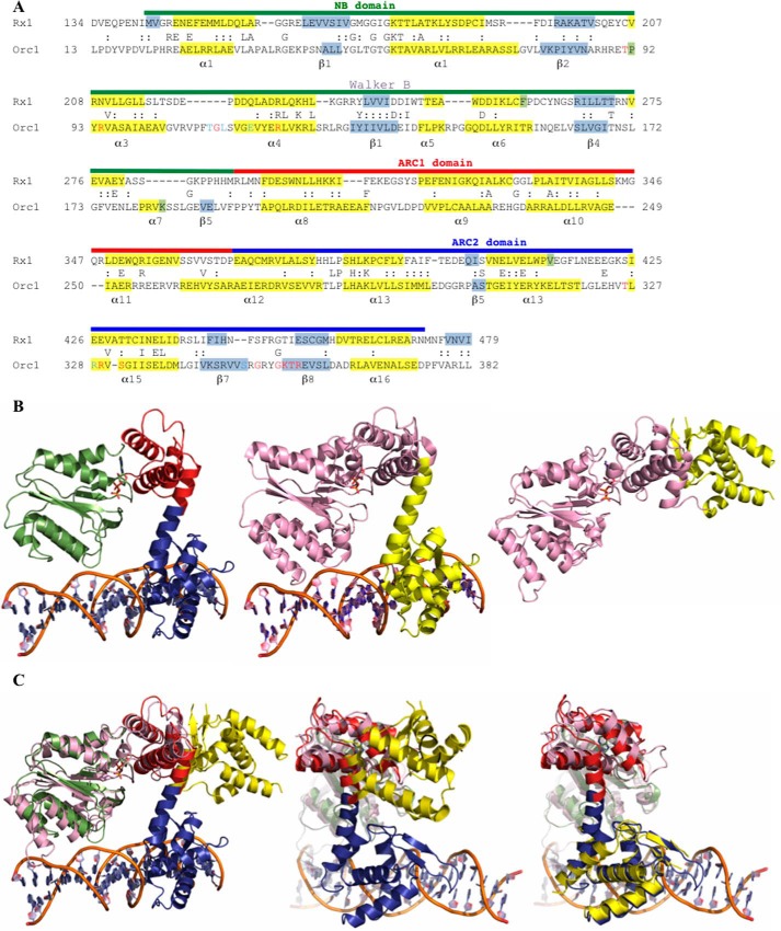 FIGURE 1.