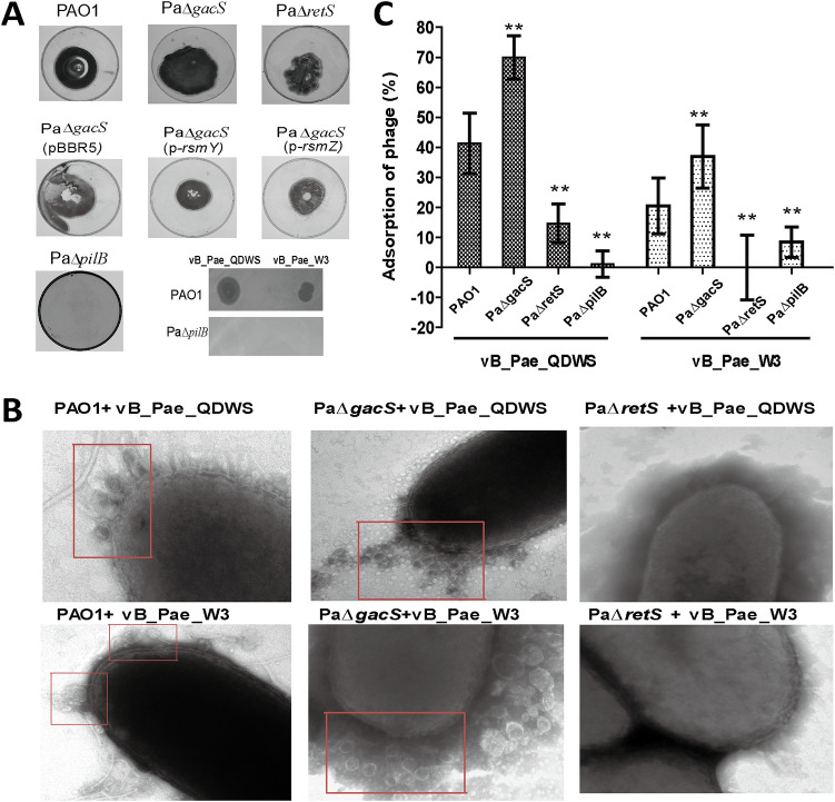 FIG 4