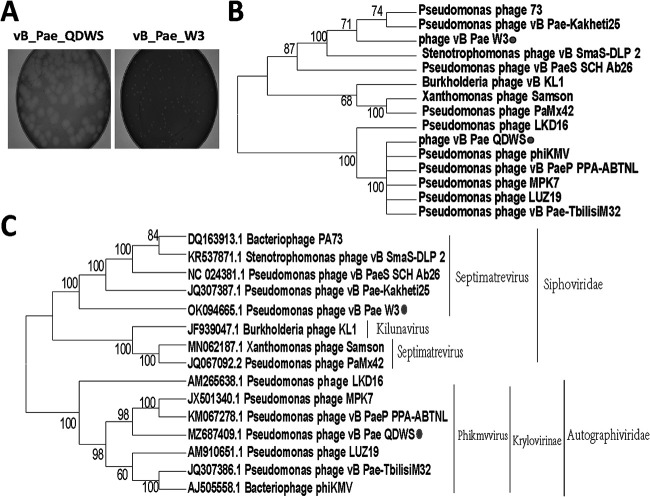 FIG 1