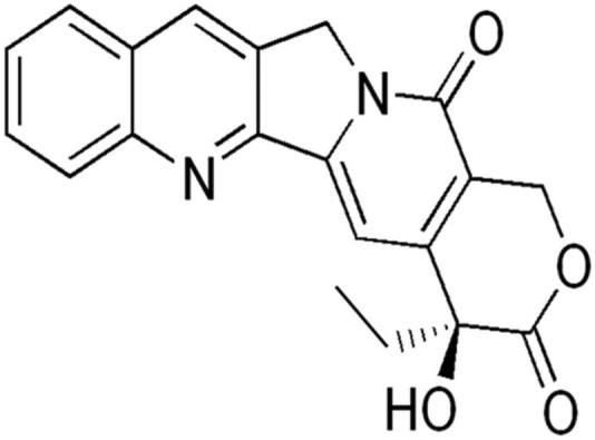 Figure 13.