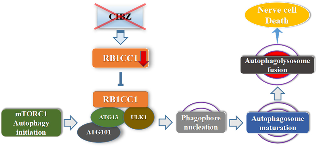 Fig. 8.