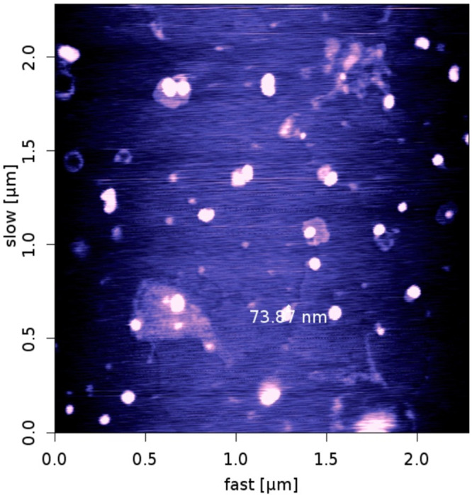 Figure 5