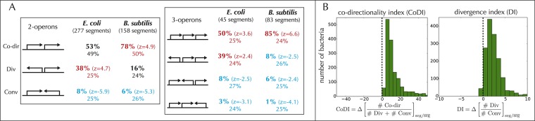 Fig 5