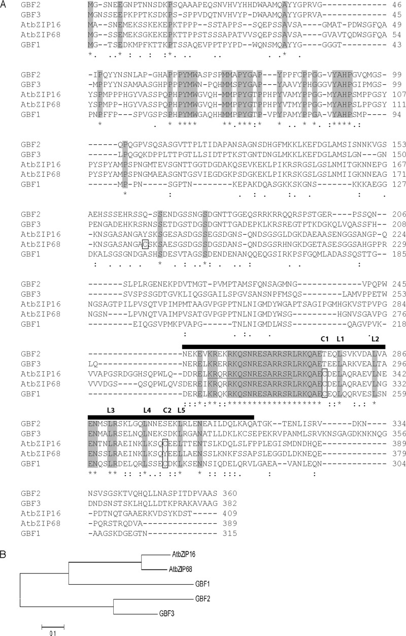 FIGURE 3.