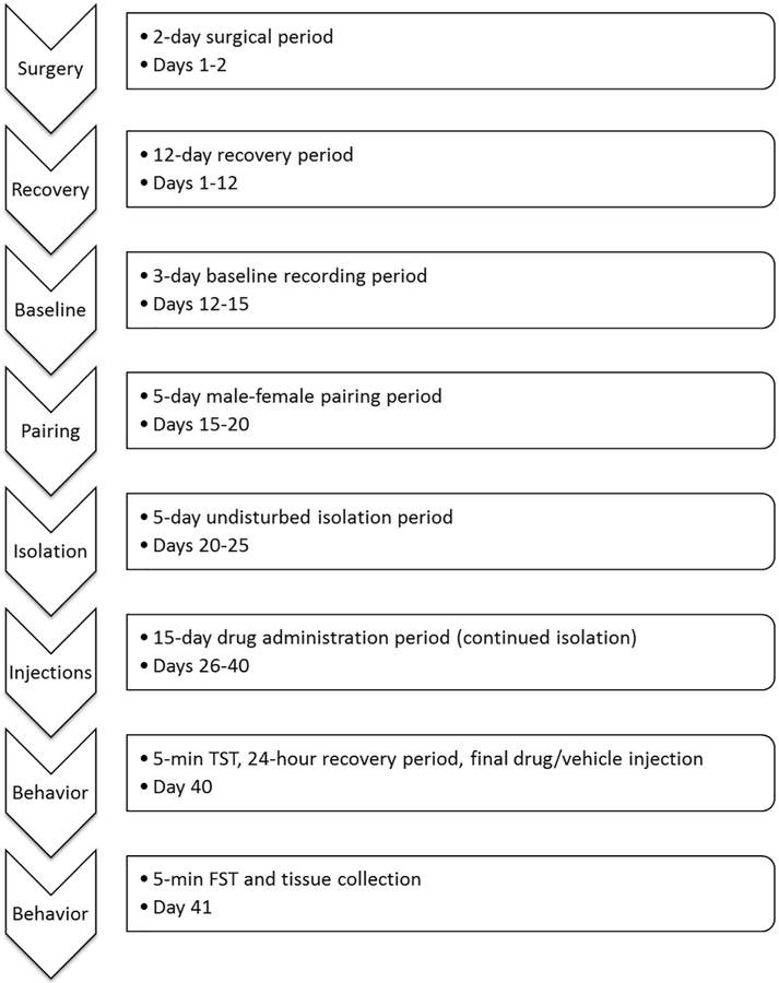 Figure 1: