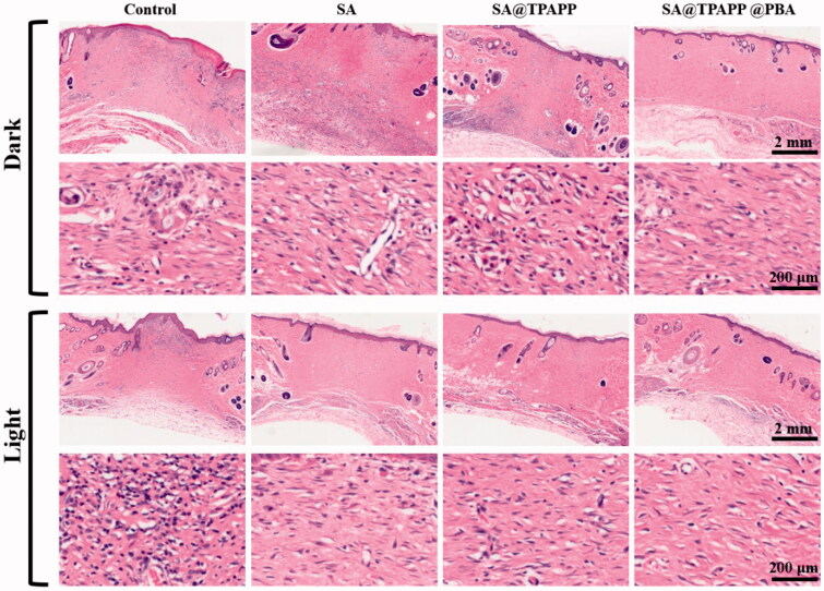 Figure 10.