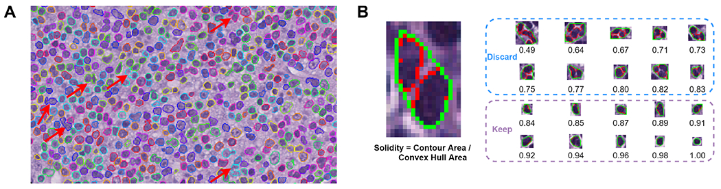 Figure 2.