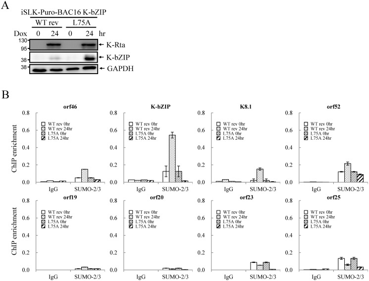 Fig 9