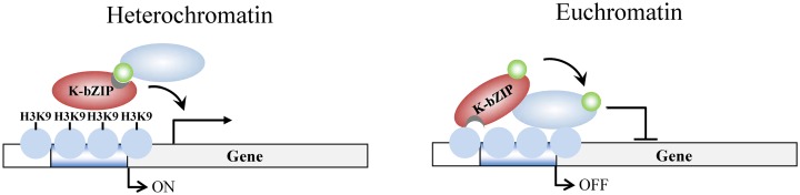 Fig 10