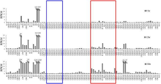 Fig 3