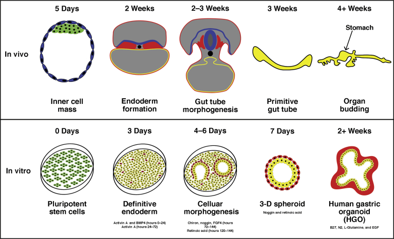 Figure 2