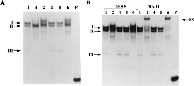 FIG. 9