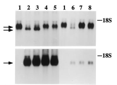FIG. 10