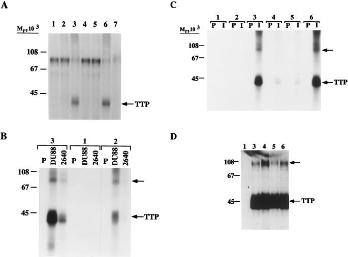 FIG. 8