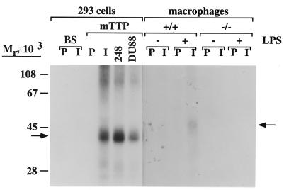 FIG. 7