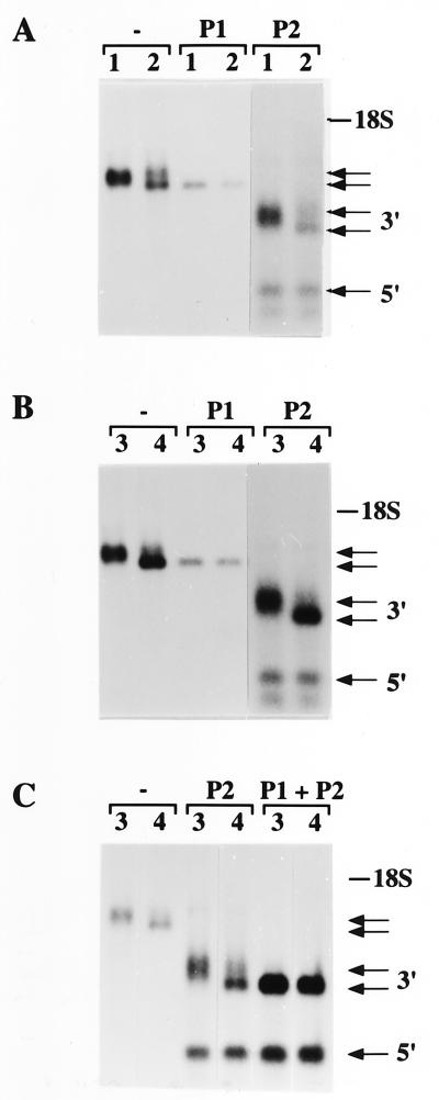FIG. 5