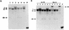 FIG. 9